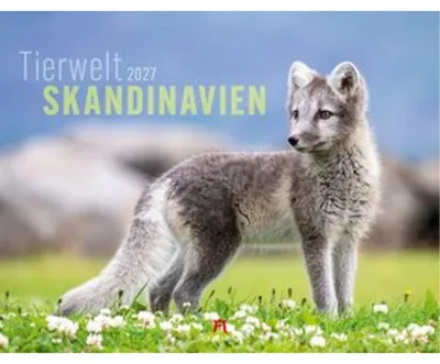 Produktbild von Tierwelt Skandinavien Kalender 2027