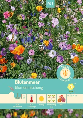 Artikelbild 1 von 'Blütenmeer Blütenmeer' aus der Kategorie Blumensamenmischung