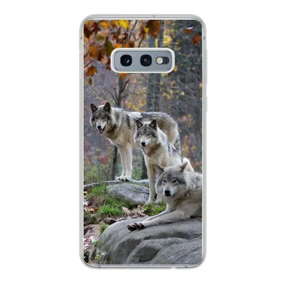 Produktbild von MuchoWow® Handyhülle Schutzhülle Hülle für Samsung Galaxy S10e Wölfe - Fels - Wald Silikon Softcase Handy Hülle - Handy