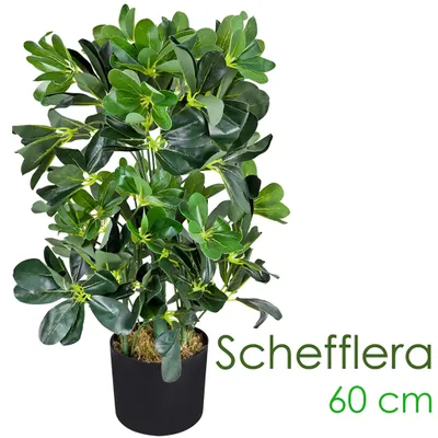 Image de Schefflera Arboricola Plante Arbre Artificielle Artificiel Plastique 60 cm Domaine Interne Decovego