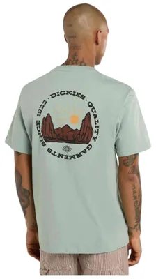 Produktbild von T-Shirt Dickies DK0A4Z8PK361 für Uni