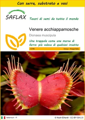Immagine prodotto di SAFLAX Insieme di coltivazione - Venere acchiappamosche - 10 semi - Dionaea