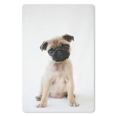 Produktbild von MuchoWow® Mauspad Mousepad Hund - Haustiere - Porträt 40x60 cm - Mousepads - Maus Mat - Pad - Mausunterlage - Schreibtisch Accesoire