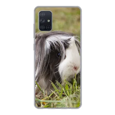 Produktbild von MuchoWow® Handyhülle Schutzhülle Hülle für Samsung Galaxy A71 Langhaar-Meerschweinchen Silikon Softcase Handy Hülle - Kartenbesitzer