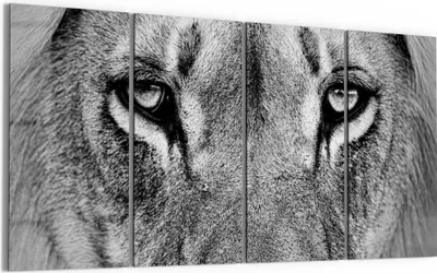 Produktbild von DEQORI Glasbild Echtglas 4x30x60 cm 'Majestätischer Blick' Wandbilder XXL groß