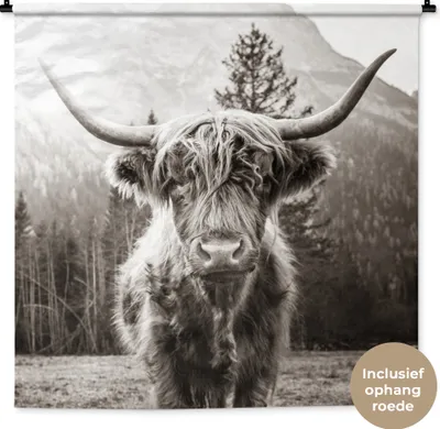 Produktbild von MuchoWow® Wandteppich Wandbehang Schottisches Hochlandrind - Tiere - Schwarz - Weiß 150x150 cm Tapisserie Dekoration Wandtuch - Wohnaccessoires - Modernes