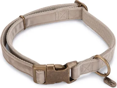 Produktbild von Designed by Lotte Hundehalsband Velura