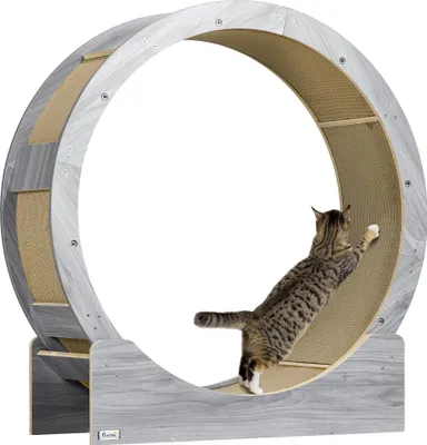 Immagine prodotto di Ruota per gatti PawHut, ruota per gatti, 91 cm, con freno, grigia