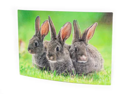 Produktbild von 3D Postkarte Häschen