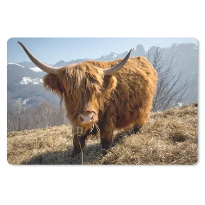 Produktbild von MuchoWow® Mauspad Mousepad Schottischer Highlander - Berg - Schnee 27x18 cm - Mousepads - Maus Mat - Pad - Mausunterlage - Büroartikel - Desk Matten