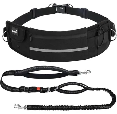 Produktbild von Joggingleine Hunde mit Bauchgurt, elastische Laufleine mit Gürteltasche, schwarz