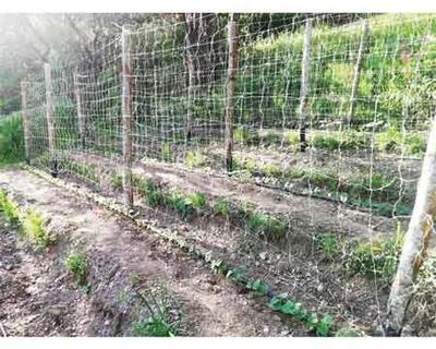 Zdjęcie produktu dla SYSTEM WSPINACZOWY "CARDINALE" 1,7 x 100 metrów - kolor biały
