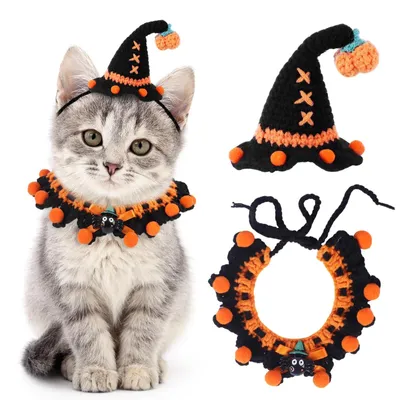 Immagine prodotto di Set di costumi per animali domestici per Halloween, con cappello e sciarpa (a tema arancione)