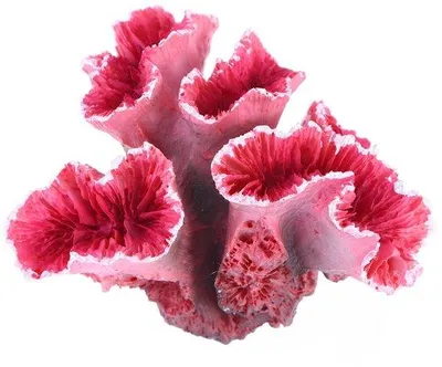 Produktbild von Kunstkoralle – Realistische Dekoration für Aquarien – Imitat