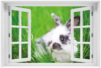 Produktbild von Wallario Premium Glasbild mit Fensterrahmen, freischwebende Optik, kräftige Farben, Größe 60 x 90 cm Motiv Süßer Hase im grünen Gras