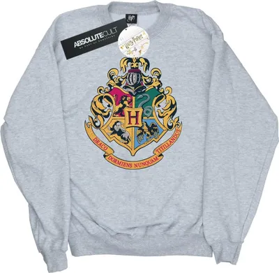 Produktbild von Harry Potter - "Hogwarts" Sweatshirt für Damen BI20829 (XXL) (Grau)