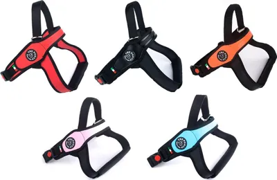 Übersicht der Tre Ponti Hundegeschirr PRIMO Onyx Classic schwarzer Rand in rot, schwarz,neon orange, rosa und hellblau