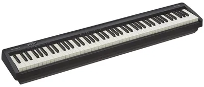 Obrázek produktu pro Roland FP-10 BK