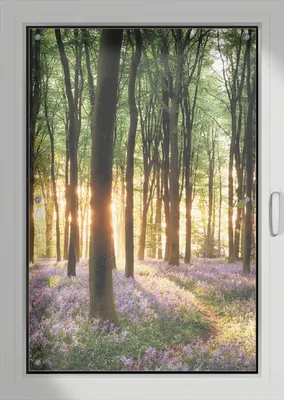 Produktbild von Wallario Lichtschutzbild, Dekorativer Sichtschutz Sonnenschutz 76 x 115 cm mit Motiv: Blaue Hasenglöckchen im Wald mit Sonnenstrahlen - Verdunklung ohne Bohren