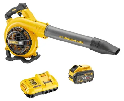 Image de Souffleur 54V DEWALT DCM572X1-QW avec chargeur et une batterie 9 Ah FLEXVOLT