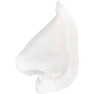 Image de MoussePolyuréthanenez Cléopâtre petit