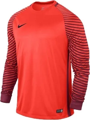 Produktbild von Nike Sweatshirts Gardien Jsy LS, 725882671, Größe: S