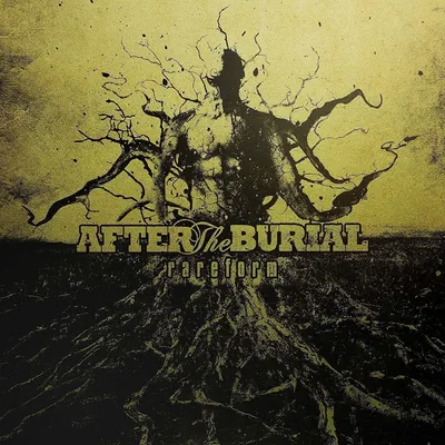 Obrázok produktu pre After the Burial - Rareform (10th Anniversary) (Reissue) (LP)