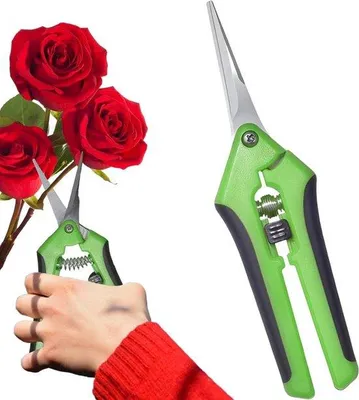Productafbeelding van Tuinschaar Snoeischaar - Planten Trimschaar - Nauwkeurig Snoeien - Vergrendelingsgreep - 16.5 cm - Groen