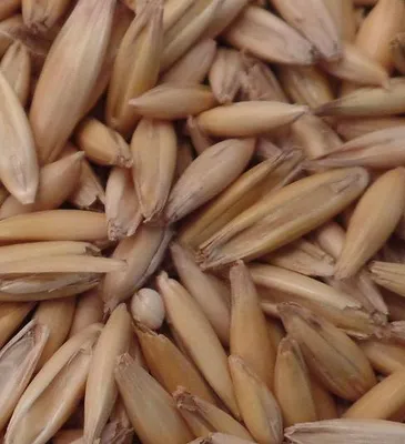 Productafbeelding van Van Gorp Gepunte haver 20KG