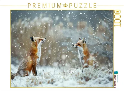 Produktbild von CALVENDO Puzzle Der Winter ist da | 1000 Teile Lege-Größe 64x48cm Foto-Puzzle für glückliche Stunden