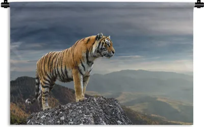 Produktbild von MuchoWow® Wandteppich Wandbehang Tiger - Berg - Natur - Landschaft 60x40 cm Tapisserie Dekoration Wandtuch - Wanddekorationen