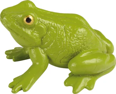 Produktbild von Eduplay Spielzeug Frosch Lebenszyklus Set - Lernmodell aus Kunststoff
