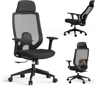Produktbild von SENSE7 Nakai Ergonomischer Bürostuhl Schreibtischstuhl Schwarz 3D-Armlehnen Netzrücken Lendenwirbelstütze Chefsessel PC Stuhl Homeoffice 150 kg