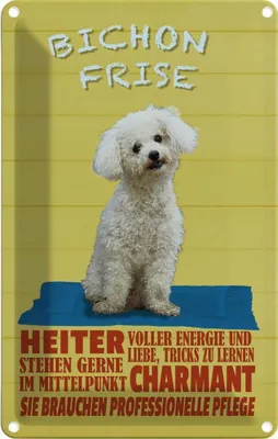 Produktbild von vianmo Blechschild 30x20 cm Hund Bichon Frise charmant Tier Haustier