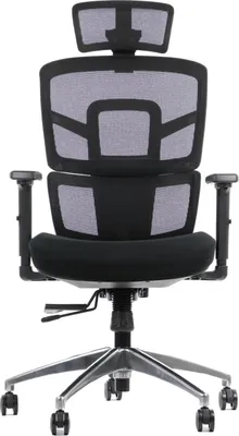 Image de Chaise de bureau ergonomique pivotante TREX, base en aluminium, accoudoirs réglables, assise coulissante (avant-arrière), noir