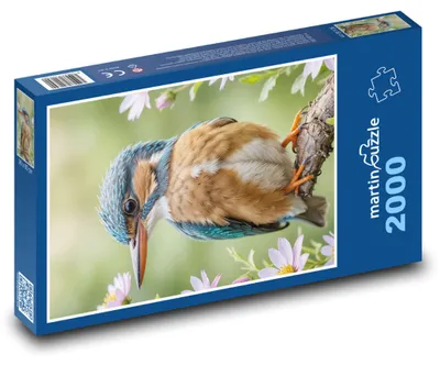 Zdjęcie produktu dla martinpuzzle - Puzzle 2000 - Ledňáček