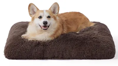 Immagine prodotto di Cuccia per cani, lavabile, morbida, marrone, 74x53 cm