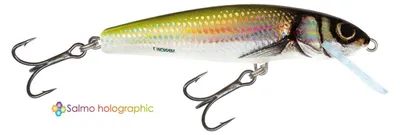 Produktbild von Salmo Minnow 5cm F Holo Bleak Wobbler