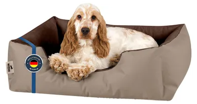 Image de Lit pour chien BedDog LUPI, canapé pour chien, coussin lavable, NAMIBSAND (beige/marron), (M) env. 70 x 55 x 18 cm