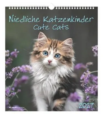Produktbild von Neumann Wandkalender 2027 Niedliche Katzenkinder, ca. 30x34 cm, mehrsprachig