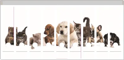 Produktbild von Wallario Ordnerrücken Sticker, selbstklebend für breite Ordner, 9 Stück, Motiv Hundewelpen und Katzenjunge