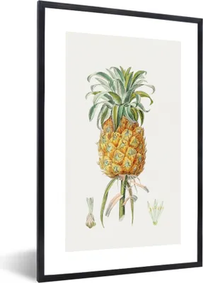 Produktbild von MuchoWow® Gerahmtes Poster Ananas - Obst - Lebensmittel 40x60 cm - Poster mit Schwarzem Bilderrahmen Wandposter Rahmen Foto Bilder - Papierdruck - Wandbilder