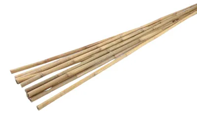 Image de 10x tiges de bambou Tige Décoration Ménage Support de plantes grimpantes