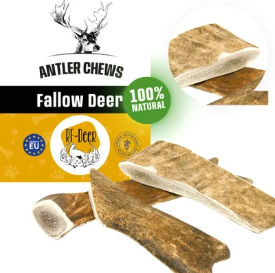 Produktbild von RF - DEER Damhirschgeweih XL 81-120g 18-21cm SOFT natürliches Geweih, Öko Kausnack für Hunde, gesundes Kauspielzeug, Kauknochen für Genuss, Zahnpflege