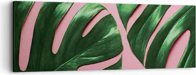 Produktbild von Bild auf Leinwand - Leinwandbild - Einteilig - Monstera Blatt Rosa - 90x30cm - Wand Bild - Wanddeko - Wandbilder - Leinwanddruck - Bilder - Wanddekoration - Leinwand bilder - Wandbild - AB90x30-4407