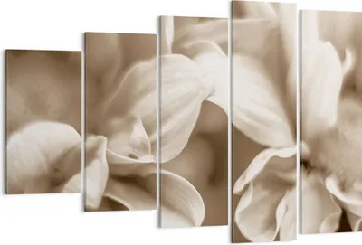 Produktbild von Bild auf Leinwand - Leinwandbild - 5 Teile - Blumen Boho ohne - 150x100cm - Wand Bild - Wanddeko - Wandbilder - Leinwanddruck - Bilder - Wanddekoration - Leinwand bilder - Wandbild - EG150x100-4767