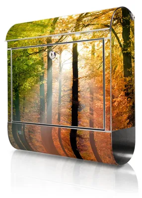 Produktbild von banjado Edelstahl Briefkasten mit Zeitungsfach mit Motiv Herbstwald großer Design Postkasten rostfrei, A4 Einwurf [BKGE2 10041]