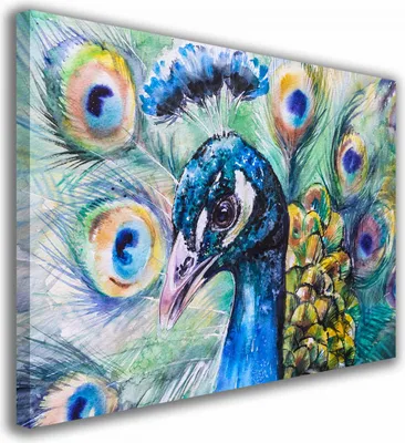 Zdjęcie produktu dla OBRAZ NA PŁÓTNIE 081 Paw 60x40cm