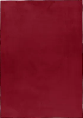 Produktbild von Teppium Flauschiger Hochflor Teppich Einfarbig - Kunstfell Look, Plüschig & Superweich für Wohnzimmer, Grösse: 240x340 cm