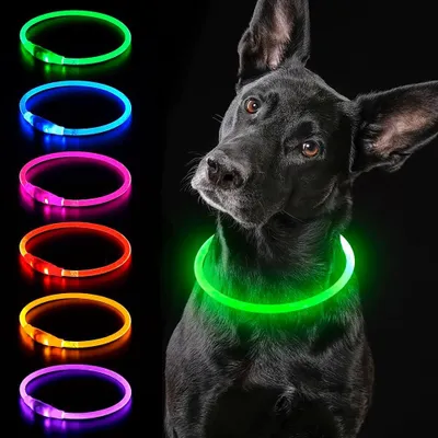 Productafbeelding van Lichthalsband voor honden en katten - USB-oplaadbaar - waterdicht - verstelbaar en op maat te knippen - groen